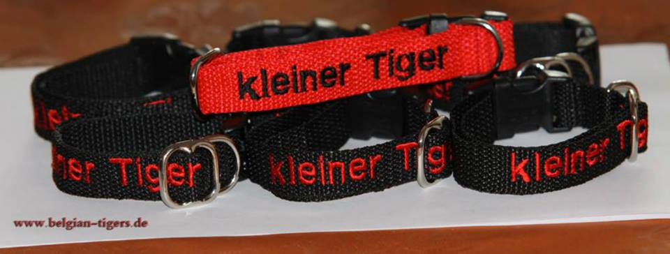 Unsere Erstlingshalsbänder - die Buben schwarz und die Eisblume rot :-)