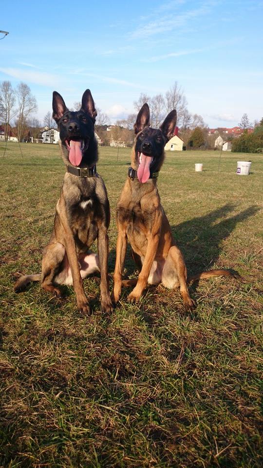 links Deejay, rechts Fireball
