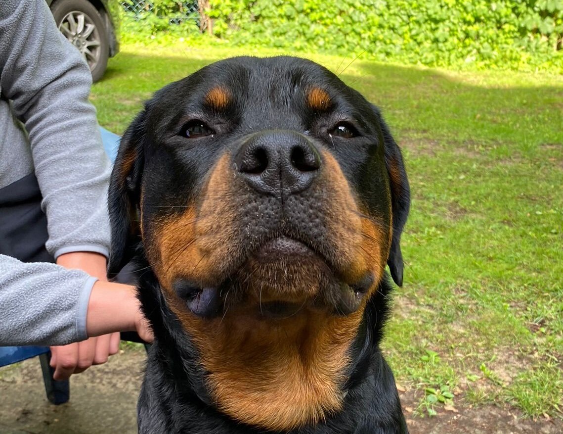 Ernie
