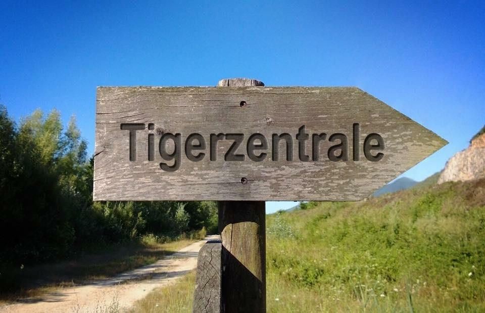 (c) Belgian-tigers.de
