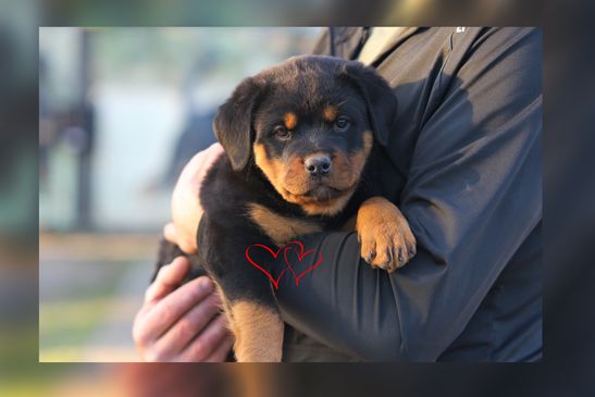 Kora♥