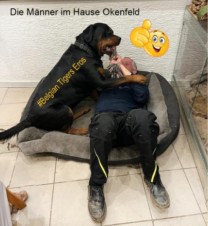 Der Hund kommt auf gar keinen Fall aufs Sofa :-) 