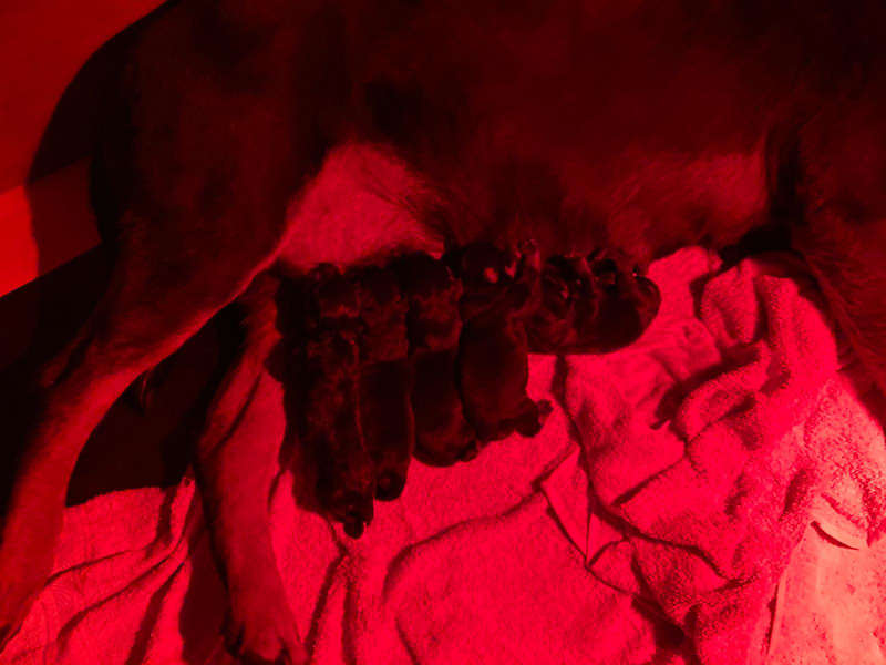 mitten in der Nacht