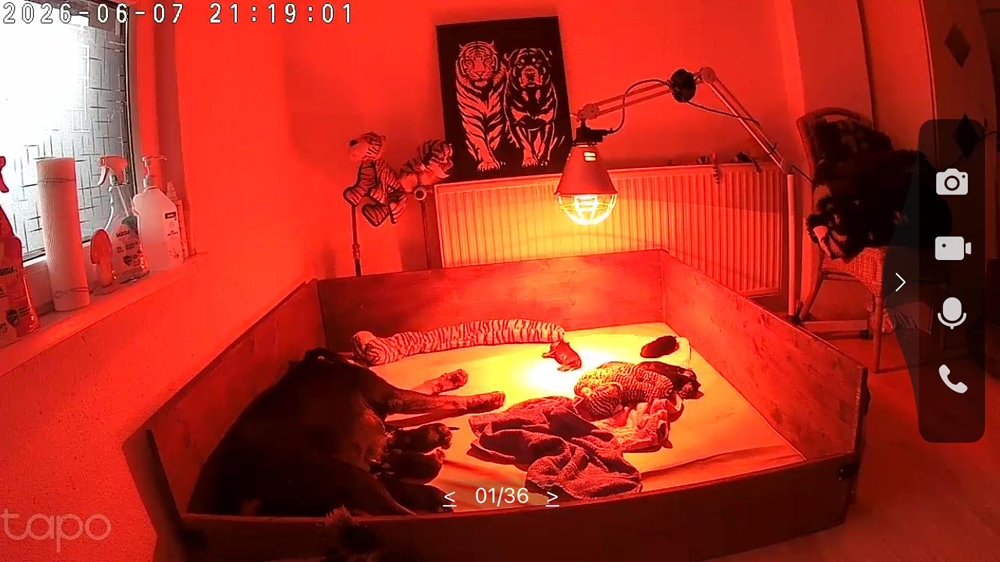 gestern Abend kurz nach 9