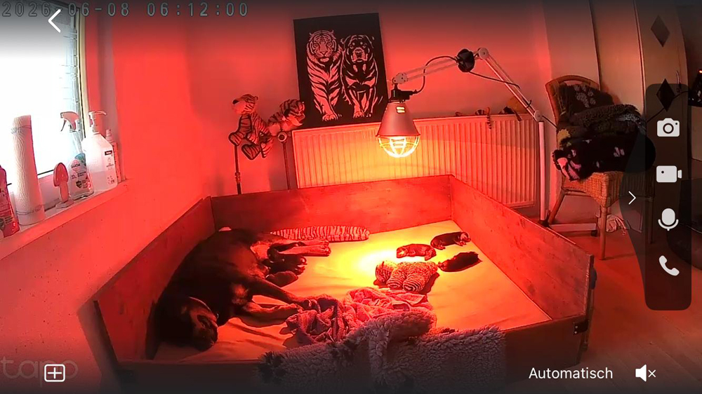 heute Morgen kurz nach 6