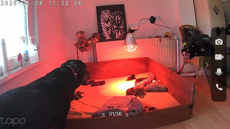 einmal durchzählen :-) und Lage checken