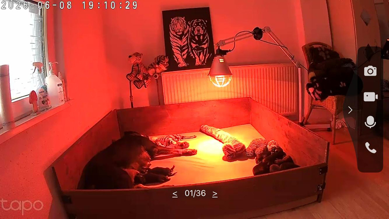 19:10 Uhr