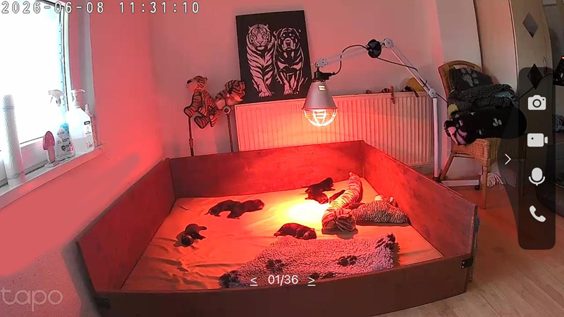 11:31 Uhr